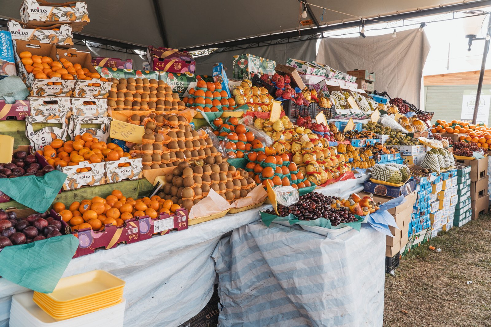 Expo Umuarama: Frutas exóticas diretamente de São Paulo são atrações na feira