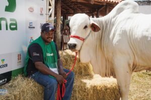 Juiz destaca trabalho dos tratadores nos julgamentos da Expo Umuarama