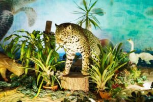 Ciência, tecnologia e negócios movimentam Pavilhão da Indústria e Comércio na Expo