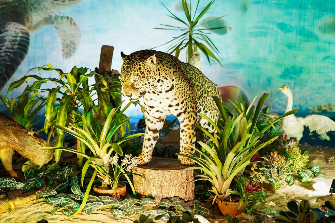 Ciência, tecnologia e negócios movimentam Pavilhão da Indústria e Comércio na Expo