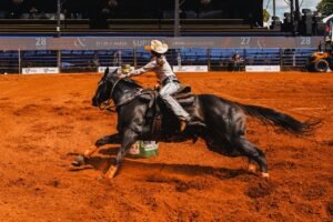 ‘Três Tambores’ promete final eletrizante na Expo Umuarama neste domingo
