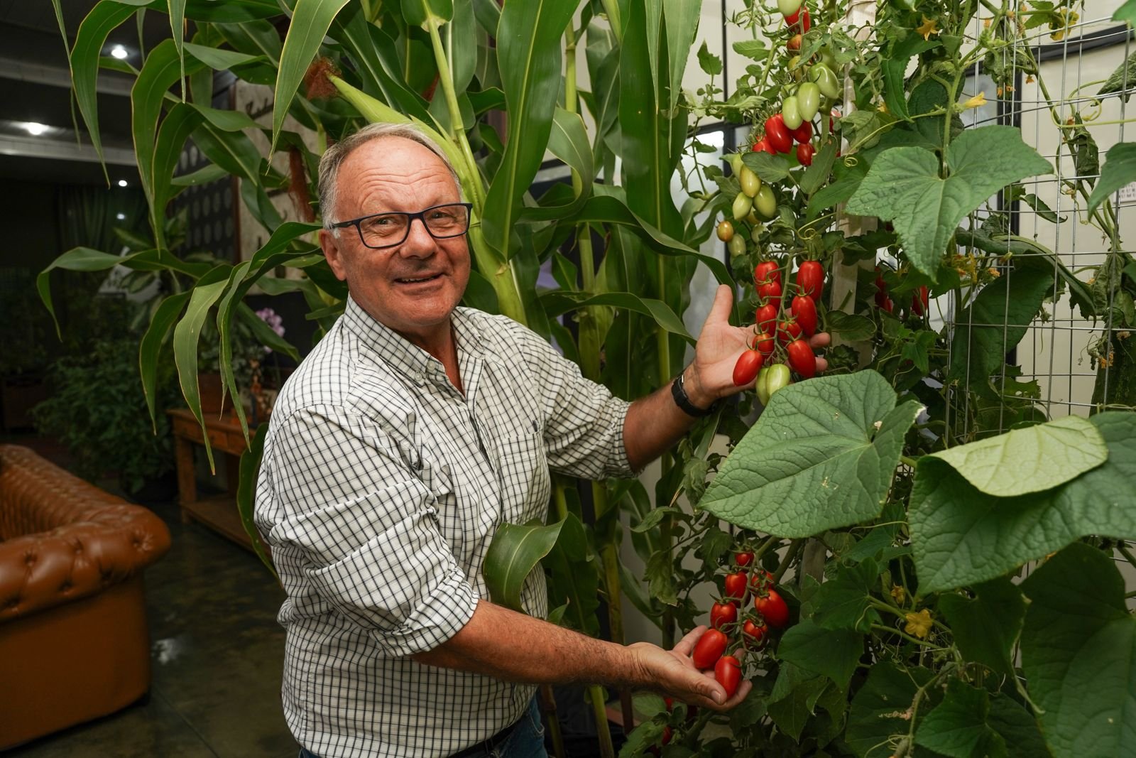 Frutos que encantam: sala de recepção vira vitrine viva na Expo Umuarama
