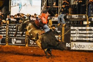 Com rodeio de alto nível e show musical, Expo Umuarama tem dia histórico