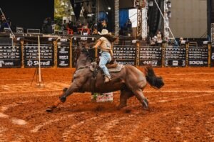 Velocidade, elegância e protagonismo feminino marcam a Prova dos Três Tambores na Expo Umuarama