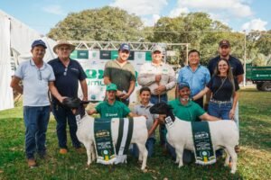 Expo Umuarama divulga vencedores do julgamento de ovinos