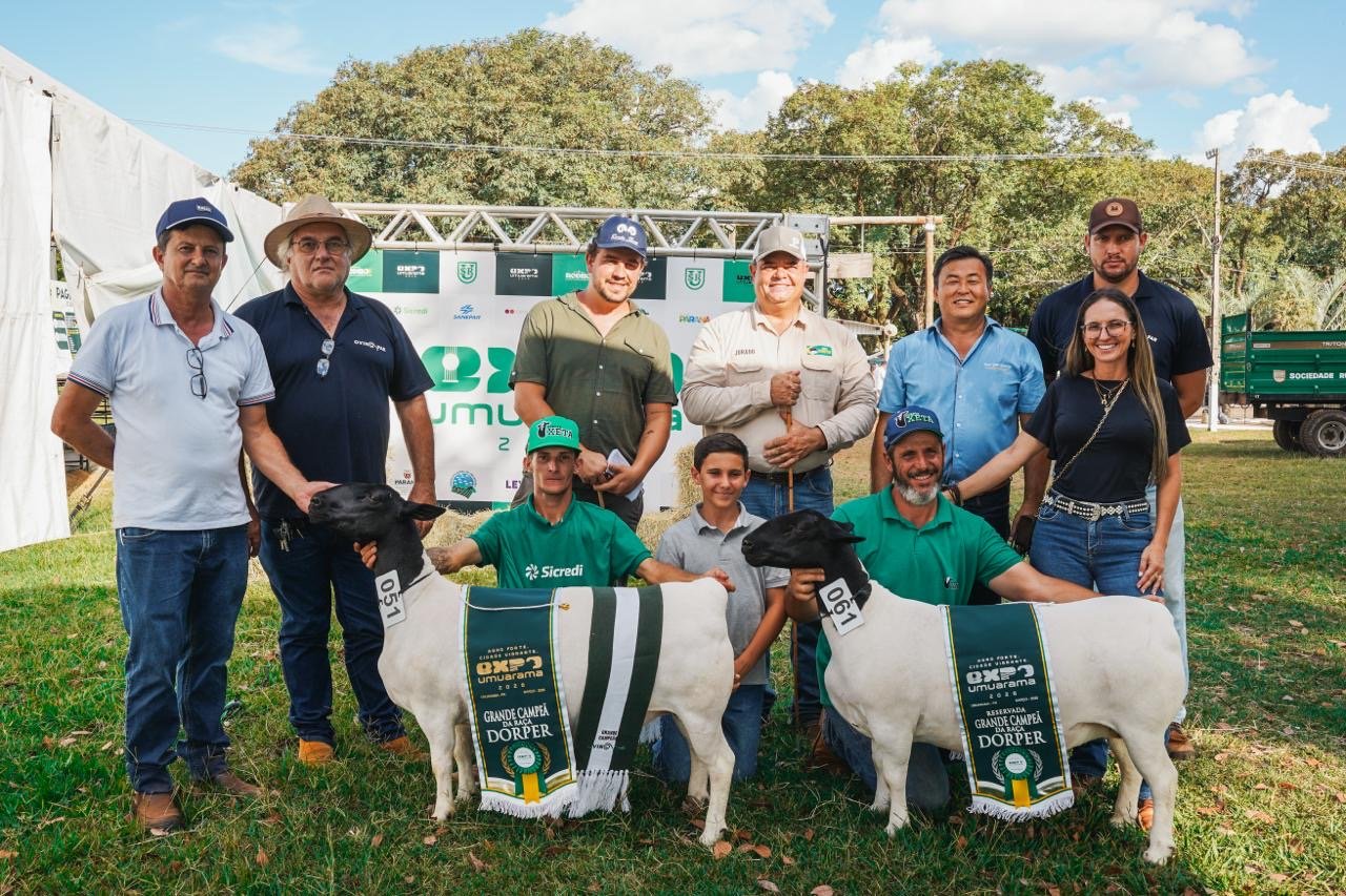 Expo Umuarama divulga vencedores do julgamento de ovinos