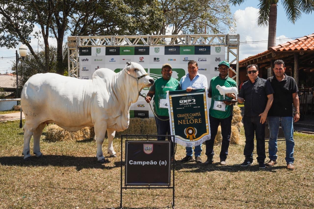 Com campeões de destaque, Expo Umuarama encerra julgamento de Nelore